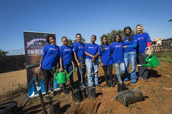 300,000 trees South Africa 2 s